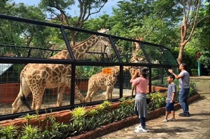 Maharani Zoo dan Goa