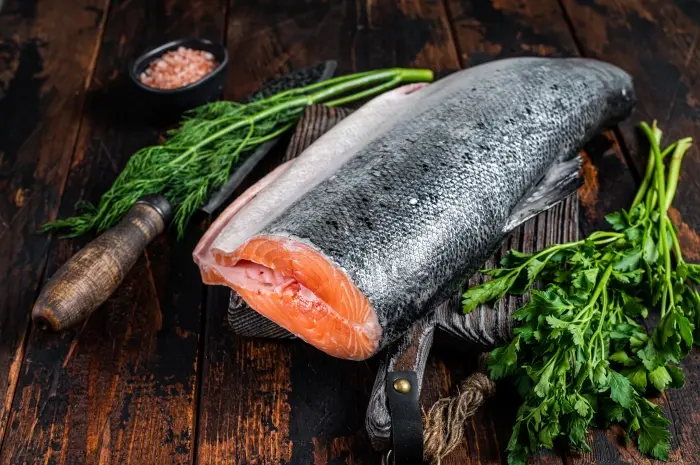 Ikan Salmon