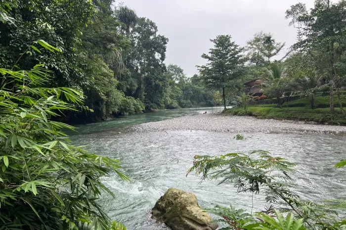 Batu Katak