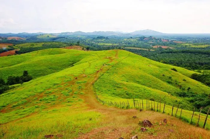 Bukit Rimpi Pelaihari