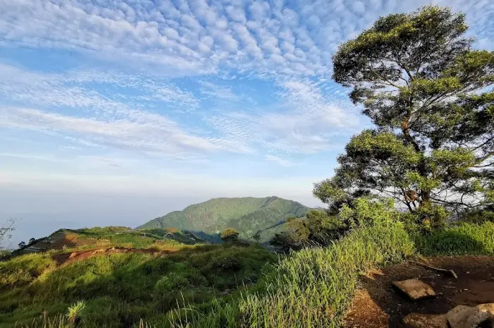 Bukit Sikunir