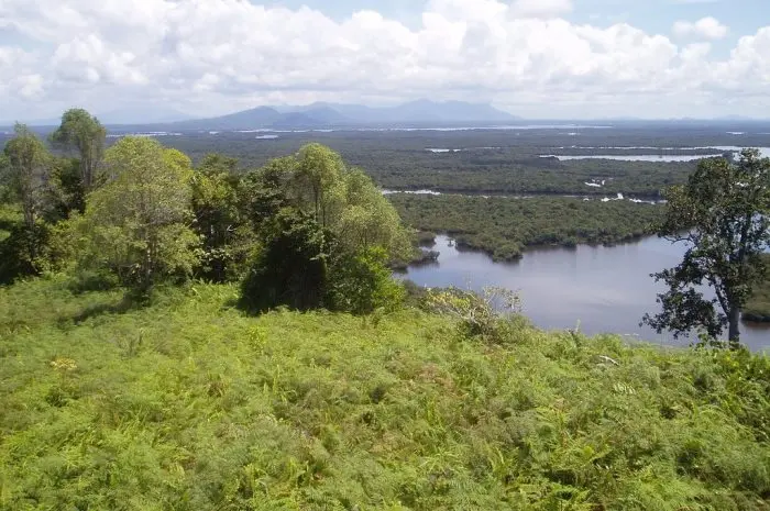 Danau Sentarum