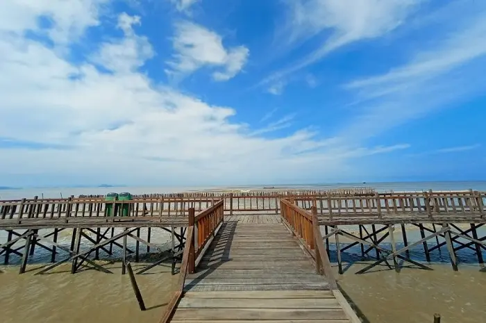 Hutan Mangrove Setapuk