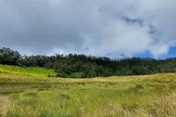 Padang Savana Dieng