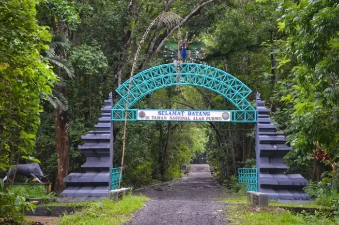 Taman Nasional Alas Purwo