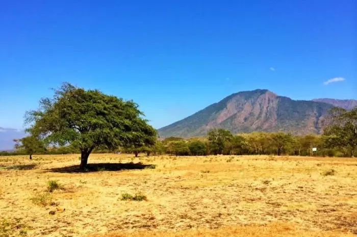 Taman Nasional Baluran