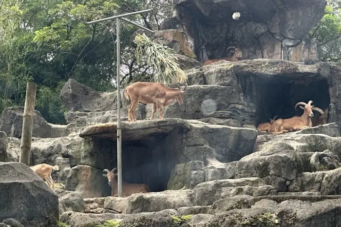 Taman Safari Indonesia II Prigen