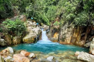 Curug Menakjubkan di Sentul Bogor untuk Petualangan Seru di Tengah Hutan Tropis